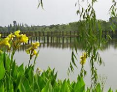 河南中医药大学风景