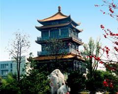 河南中医药大学风景