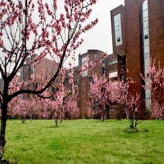 四川农业大学校园风景
