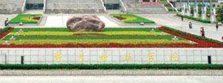 郑州科技学院